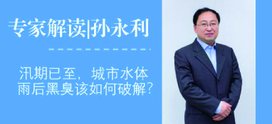 汛期已至，城市水體雨后黑臭問題該如何破解？